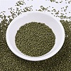 MIYUKI Delica Beads SEED-X0054-DB0371-2