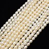Grade AA Natural Cultured Freshwater Pearl Beads Strands PEAR-L001-A-11-1