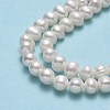 Natural Cultured Freshwater Pearl Beads Strands PEAR-F018-15-4
