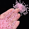 8/0 Glass Seed Beads SDB3mm137-8