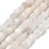 Natural Rainbow Moonstone Beads Strands G-P497-01E-69A-1