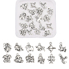 Zinc Alloy Charms PALLOY-CJ0001-100-4