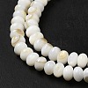 Natural Freshwater Shell Beads Strands BSHE-E026-15A-01-4