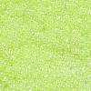 Ceylon Glass Seed Beads SEED-K009-02B-39-3
