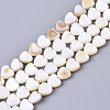 Natural Trochid Shell/Trochus Shell Bead Strands SSHEL-N034-66-1