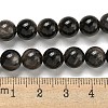 Natural Silver Obsidian Beads Strands G-S150-20A-8mm-5