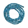 Natural Apatite Beads Strands G-P553-F02-01-3