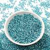 Glass Seed Beads SEED-S042-04B-23-2