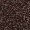 MIYUKI Delica Beads Small SEED-JP0008-DBS0150-2