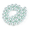 Glass Pearl Beads Strands HY-G002-01F-12-5