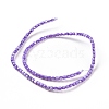 Natural Trochus Shell Beads Strands SSHEL-H070-02-5