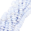 Natural Blue Lace Agate Beads  Strands G-E569-J02-1