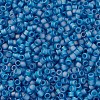 MIYUKI Delica Beads X-SEED-J020-DB0862-3