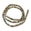 Natural Labradorite Beads Strands G-N342-85-3