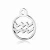 Non-Tarnish 201 Stainless Steel Charms STAS-T014-T505-11-1