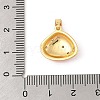 Brass Micro Pave Cubic Zirconia Pandents KK-R100-12G-01-3