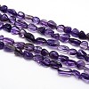 Natural Amethyst Nuggets Bead Strands G-O048-01-2