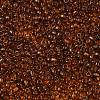 FGB 8/0 Grade A Round Glass Seed Beads SEED-Q006-3mm-F24-2