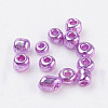 Glass Seed Beads E06900F2-2