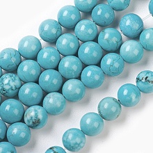 Natural Magnesite Beads Strands TURQ-P027-21A-6mm