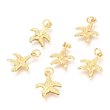 Brass Charms KK-B024-09G