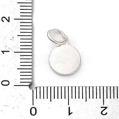 925 Sterling Silver Crimson Enamel Pendants STER-C014-01D-S-1