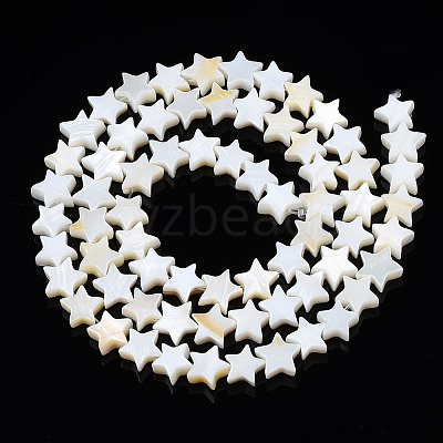 Natural Freshwater Shell Beads Strands LS-SHEL-S278-01A-01-1