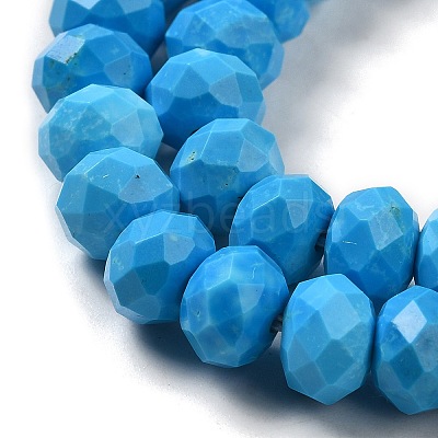 Dyed Natural Howlite Beads Strands G-G023-A01-01B-1