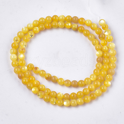 Yellow Shell Beads Strands SHEL-T012-50C-1