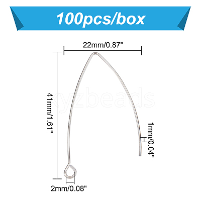 304 Stainless Steel Earring Hooks STAS-PH0018-18-1
