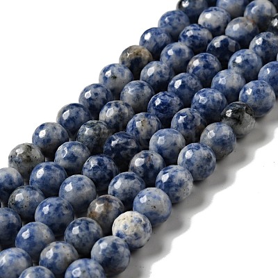 Natural Blue Spot Jasper Beads Strands G-P476-01D-02-1