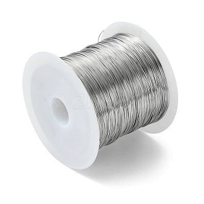 Non-Tarnish 316 Surgical Stainless Steel Wire TWIR-L004-01E-P-1