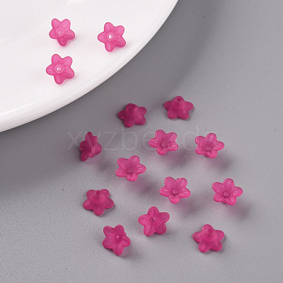 Transparent Acrylic Beads X-PL554-04-1