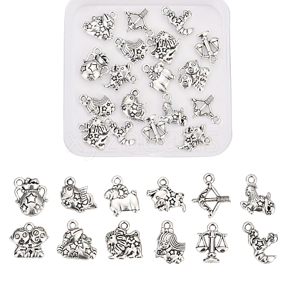 Zinc Alloy Charms PALLOY-CJ0001-100-1
