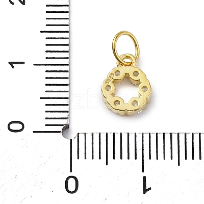 925 Sterling Silver Micro Pave Clear Cubic Zirconia Charms STER-S010-03C-G-1