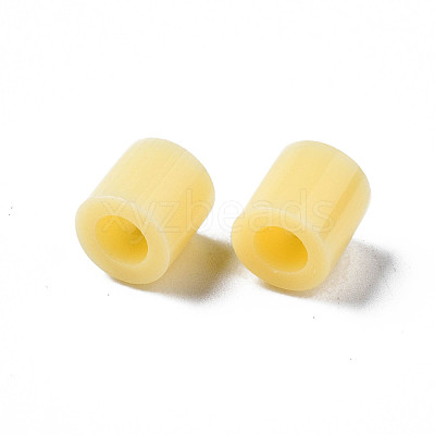 PE Fuse Beads X-DIY-R013-A19-1