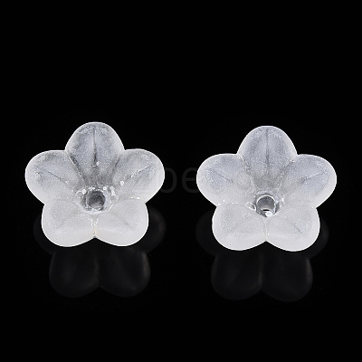 Transparent Acrylic Beads X-PL554-A-1