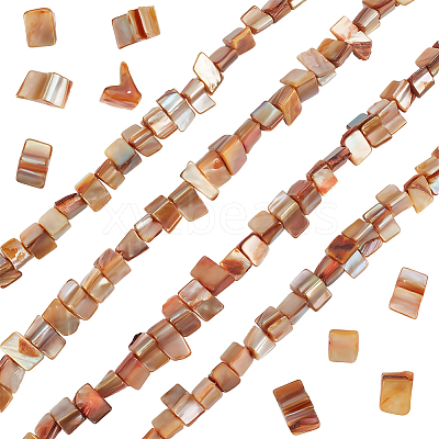 4 Strands Dyed Natural Freshwater Shell Beads Strands SHEL-BBC0001-14A-1