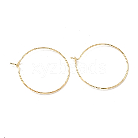 Brass Hoop Earring Findings KK-H503-33G-02-1