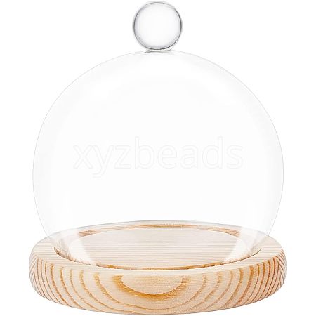 Glass Dome Cover ODIS-WH0002-25-1