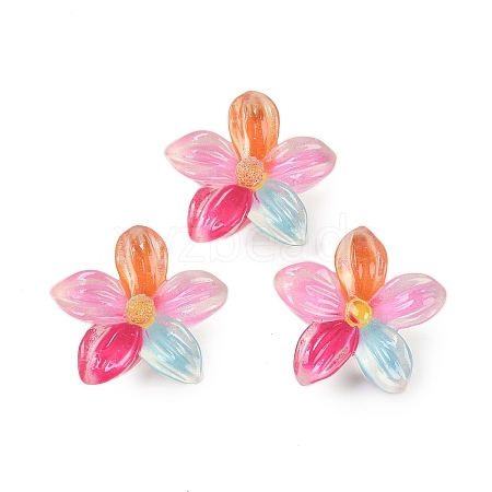 Flower Series Resin Cabochons CRES-Q008-01C-1