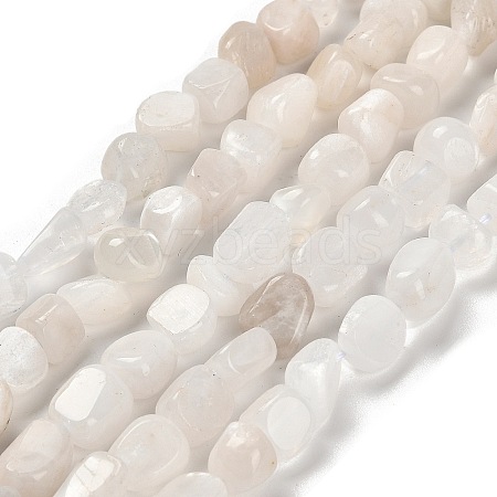 Natural Rainbow Moonstone Beads Strands G-P497-01E-69A-1