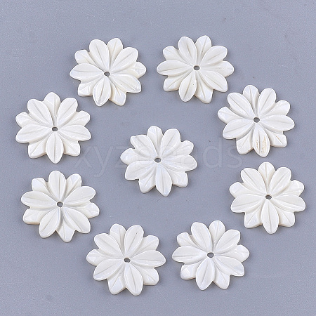 Carved Freshwater Shell Beads Y-SHEL-T012-52-1