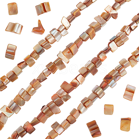 4 Strands Dyed Natural Freshwater Shell Beads Strands SHEL-BBC0001-14A-1