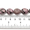 Natural Rhodonite Beads Strands G-P561-B10-01-5