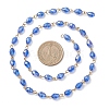 Oval Glass Beaded Link Chains AJEW-JB01471-01-2