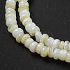 Dyed Natural Freshwater Shell Beads Strands BSHE-G039-07N-3