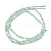 Natural Green Strawberry Quartz Beads Strands G-G106-A12-02-2