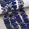 Natural Lapis Lazuli Beads Strands G-K393-B05-1