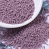 MIYUKI Round Rocailles Beads SEED-G007-RR2024-1